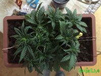 IMG_2795.jpeg