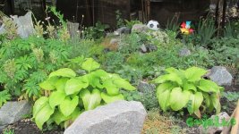 IMG_0309.JPG