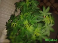 20150622_122001.jpg