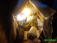DSC00008.JPG