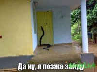 j3F4uJbG1-U.jpg