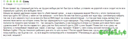 Снимок.PNG