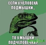 SPqlTIzpmME.jpg