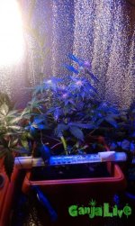 IMAG0026.jpg