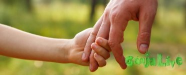 2013-08-29-news.jpg