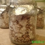 2015-05-14 18.47.52.jpg