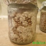 2015-05-14 18.48.14.jpg