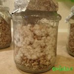 2015-05-14 18.48.42.jpg