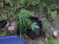 IMG_0482.JPG