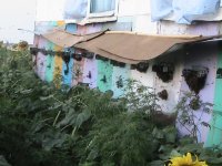 IMG_6194.JPG