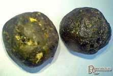 propolis_arest_02.jpg