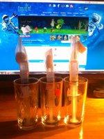 280120121082.jpg