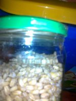 300120121088.jpg