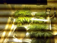 Зображення014 (2).jpg