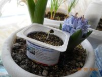 DSCN0609.JPG