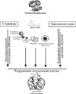 agaricus2.jpg