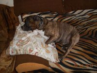 DSCN0629.JPG