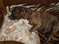 DSCN0630.JPG
