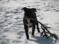 IMG_3185.JPG