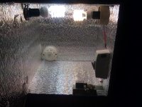IMG_20120228_132735.jpg
