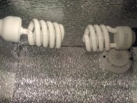 IMG_20120228_132925.jpg