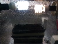 IMG_20120229_224746.jpg