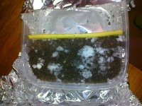 290220121156.jpg