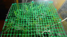 DSCN21831.JPG