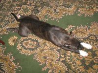 IMG_0016.JPG