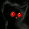 123142.gif 123142.gif