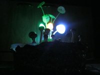IMG_0533.JPG
