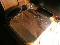 IMG_0547.JPG