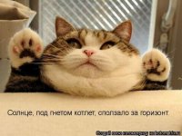 1331737409_kotomatrix_12.jpg