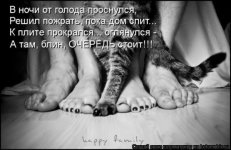1331737453_kotomatrix_32.jpg