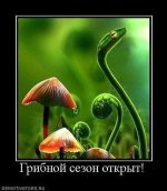 x_48b689bb.jpg x_48b689bb.jpg