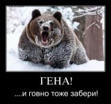 tp5bl3fdzc2d.jpg