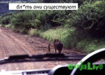 image (19).jpg