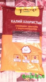 IMG_20150701_183906.jpg