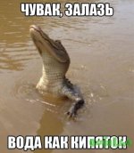 8UT5-4ru3W0.jpg