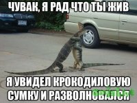 9WzOgNQJPjA.jpg