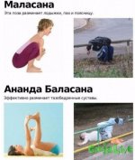 fenQILfReBg.jpg