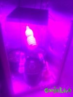 eVp1qNPSWT01.jpg
