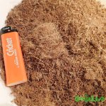 2015-05-27 00.43.12.jpg