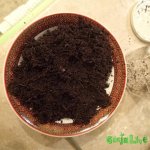 2015-05-28 04.08.59.jpg