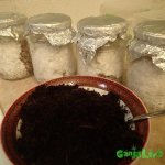 2015-05-28 04.18.37.jpg