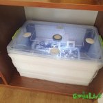 2015-06-03 08.46.31.jpg