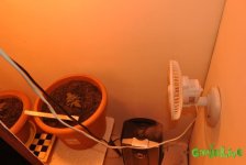 DSC_0031.JPG