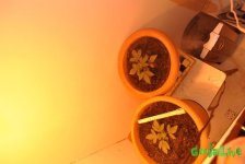 DSC_0042.JPG