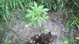 IMG_0329.JPG