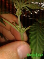 20150713_123128.jpg